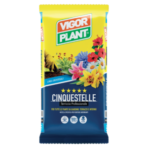 TERRICCIO CINQUESTELLE