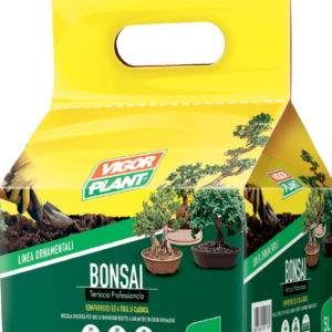 TERRICCIO BONSAI
