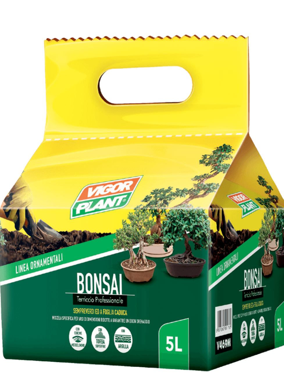 bon