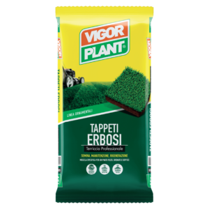 TAPPETI ERBOSI