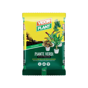 TERRICCIO PIANTE VERDI