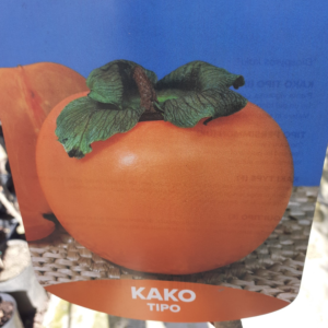 Kako Tipo