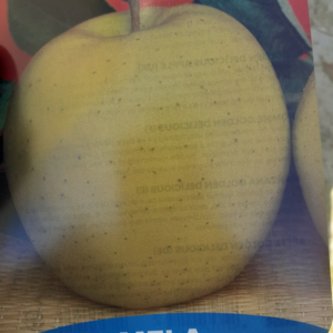 Melo Golden Delicious