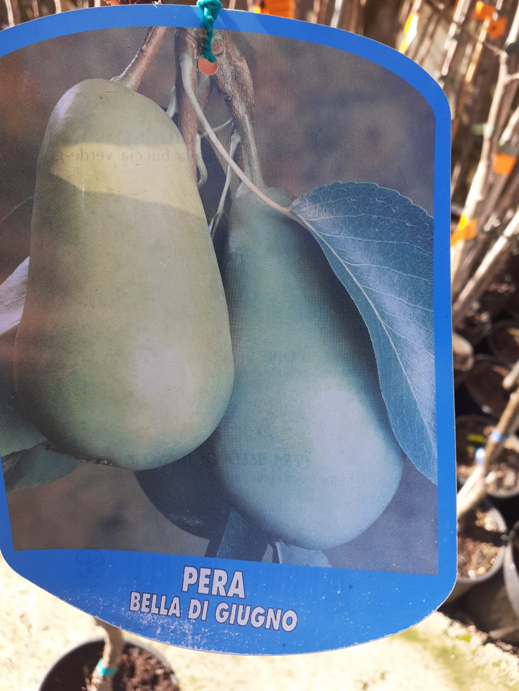 per