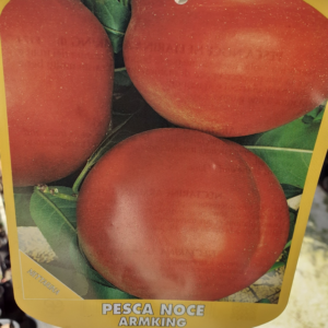 Pesco Noce Armking