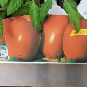 Pomodoro Big Rio