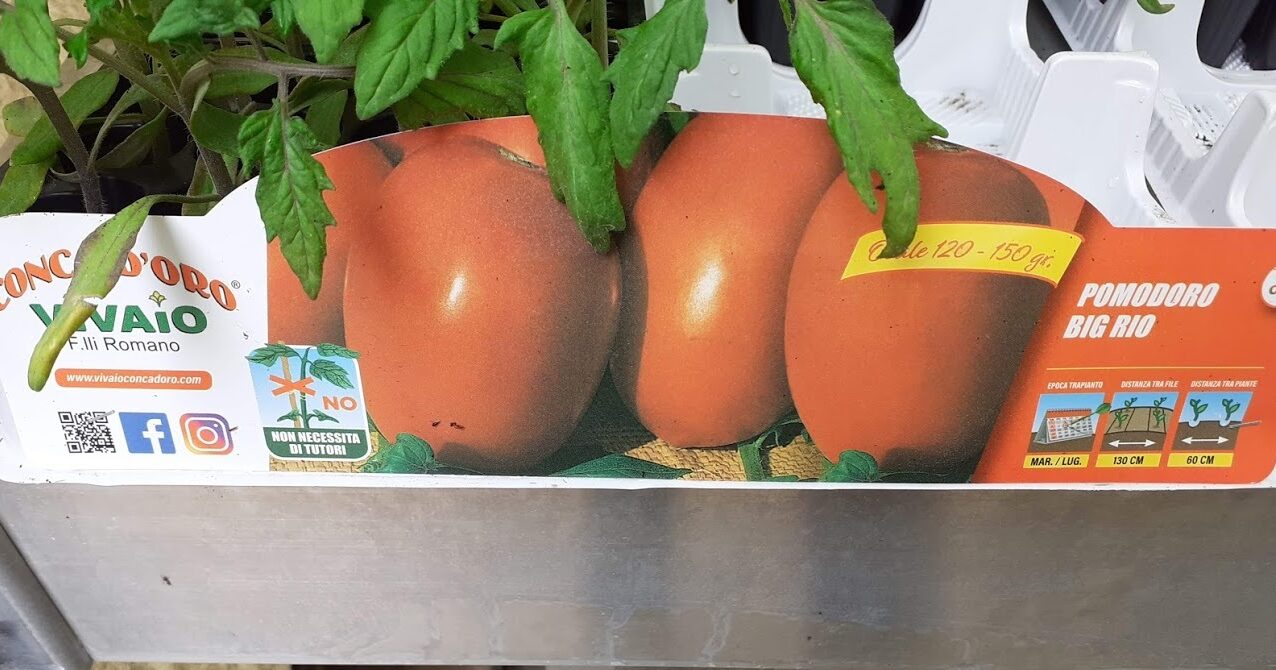 pomodoro big rio