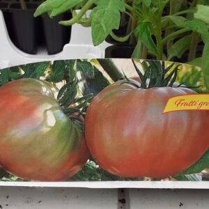 Pomodoro Ponderosa F1 (Bistecca)