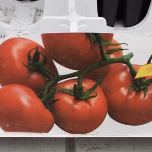 Pomodoro Rosso a Grappolo