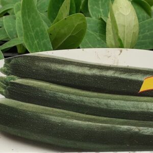 Zucchino Genovese