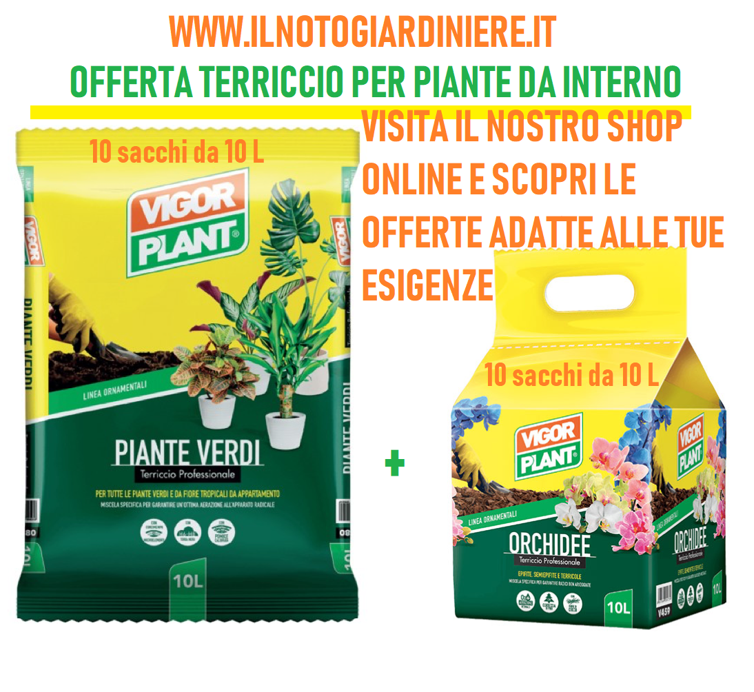 OFFERTA TERRICCIO