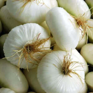 Cipolla Bianca Piatta